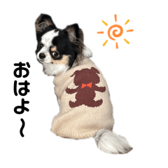 NAO_20240216144011