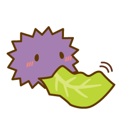 energetic sea urchin