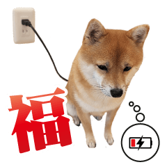 Fuku Daily Life Photo Sticker