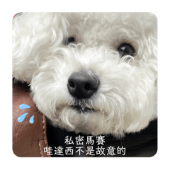 黃繃米黑歷史