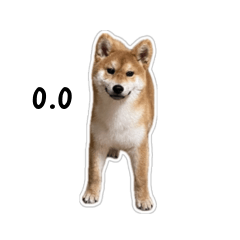 Shiba inu Village-02