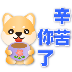 Cute Shiba--Daily Practical Phrases