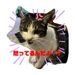 Hoshi family_20240217095708