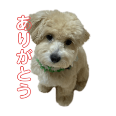 Kitamu_20240217002219