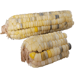 食物系列 : 一些玉米 #13