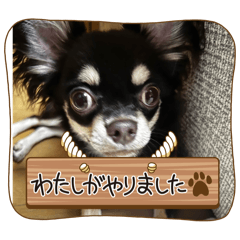 nao_1830