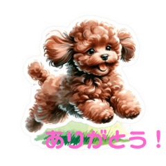 teacup poodle stamp