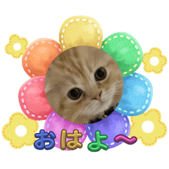 Poporon_20240217113223