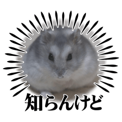 Hamsterstamp_Goma3