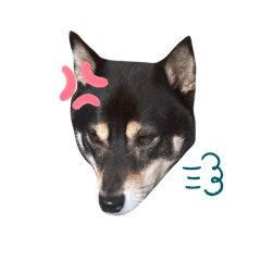 yuri_20240217135643