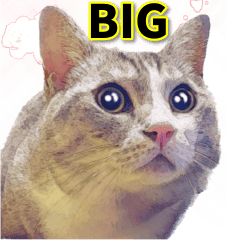 BIG painting style cat can be used