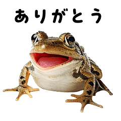 frog   sticker