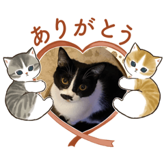 しようきんし