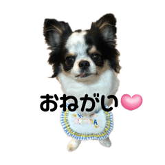 NAO_20240217204957