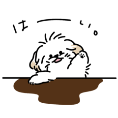 Kainushi._20240217170209