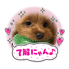 kokoko_20240218134643