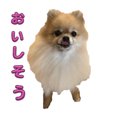 yuka_20240218161803