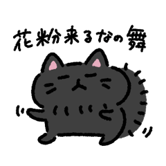 Maruhuwa black cat