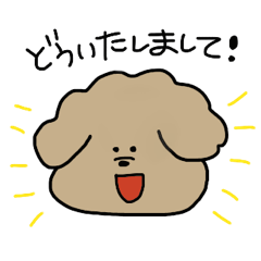 Greeting Toy Poodle