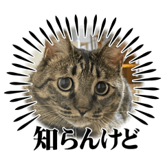 kana_20240218190023