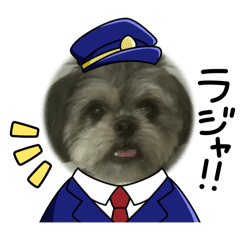 kichi_20240218202921