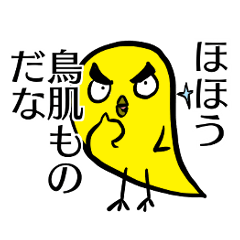 vocabulary funny bird