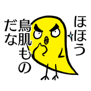 vocabulary funny bird