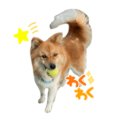 punipuni_20240218214108