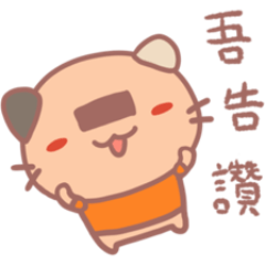 cute nori neko cat (Taiwanese dialect)