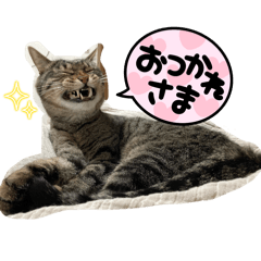 yuka_20240218221517