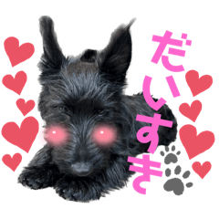 kana_20240218220847