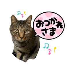 k.t04_20240219005304