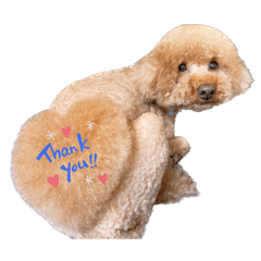 sakura_20240219140106