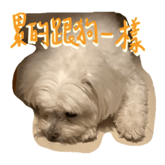 泥日記