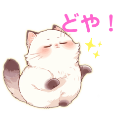 lovely kitten sticker