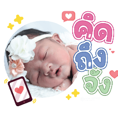 princ paknampo_20240219160412