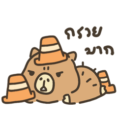kapibara Hot Head