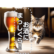 alcoholic cat alcoholic cat