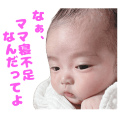 yoshiruko_20240219024324