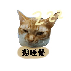 閃電的簡短對話