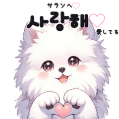 White pomeranian Korean Hangul Sticker.