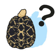 リクガメの仲間たち1