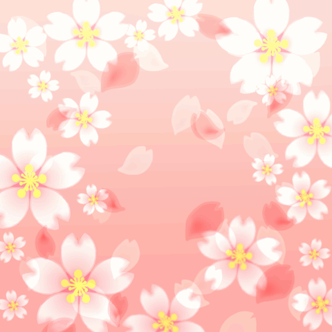 POP-UP/Sakura petals/Congratulations/JP
