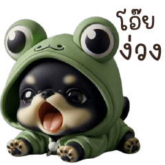 Chiwawa Baby Frog