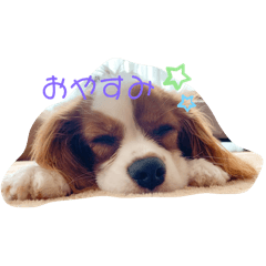 omochi_20240219215706