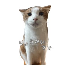 konyaaa_20240220041428