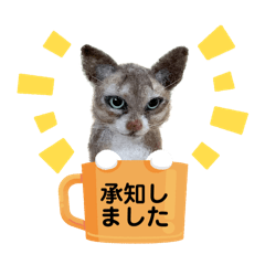 羊毛フェルト猫スタンプ日本語