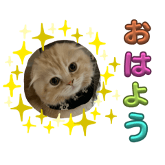 Poporon_20240219223411