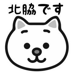 Kitawaki cats sticker