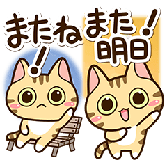 Cute little tabby cat (BIG2)